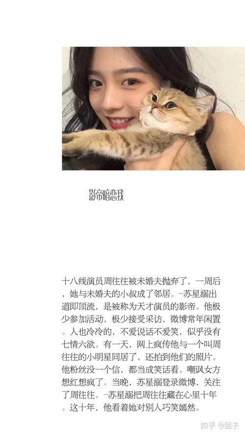 吃瓜娱乐圈系列小说推荐,娱乐圈幕后风云录